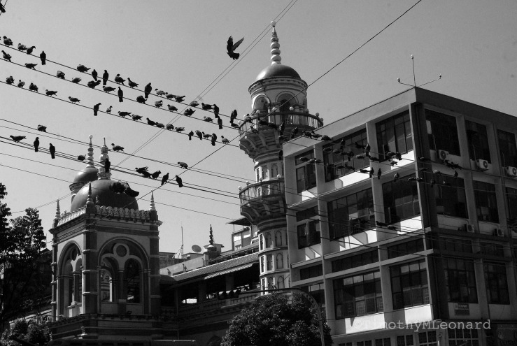 birds temple.jpg