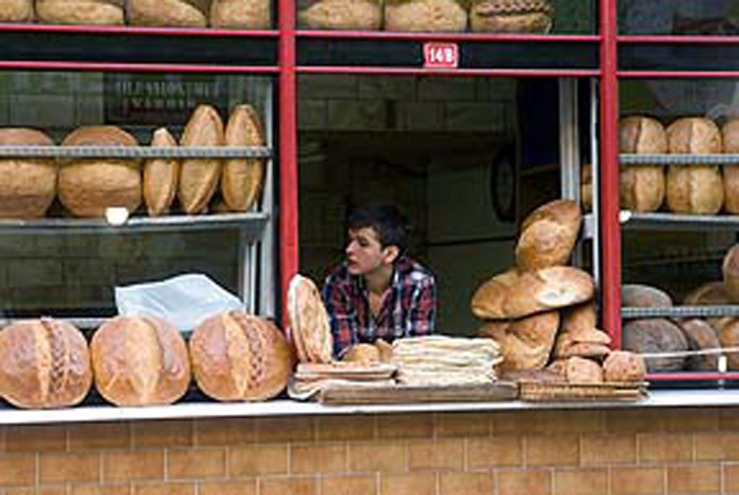 boy in bread window.jpg