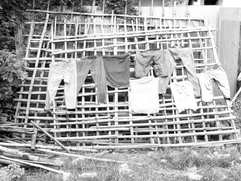 laundry on bamboo.jpg