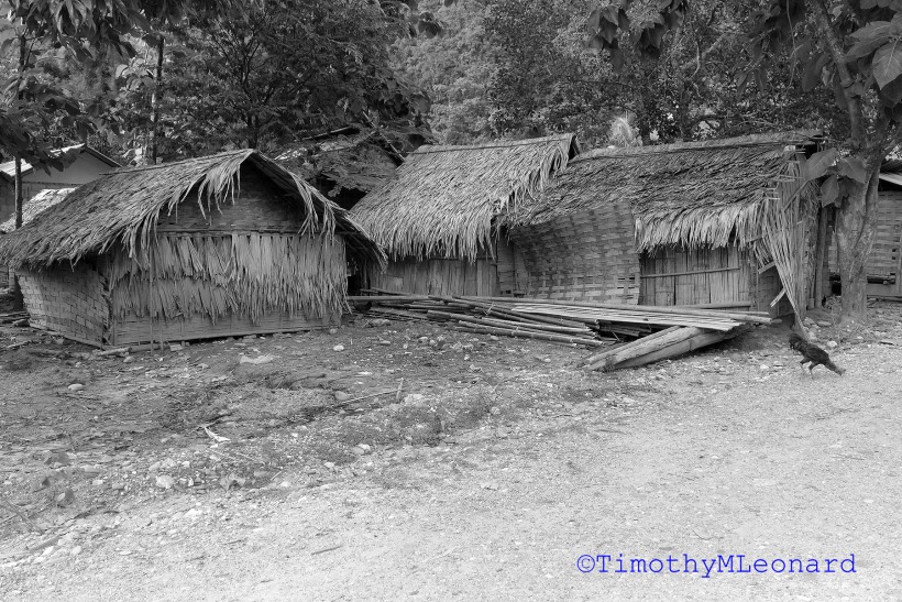 thatch homes.jpg