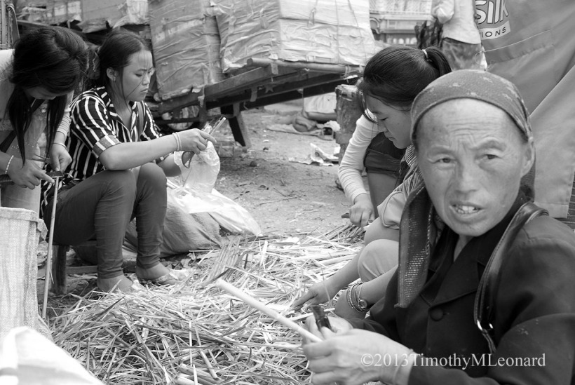 4 woman cut bamboo.jpg