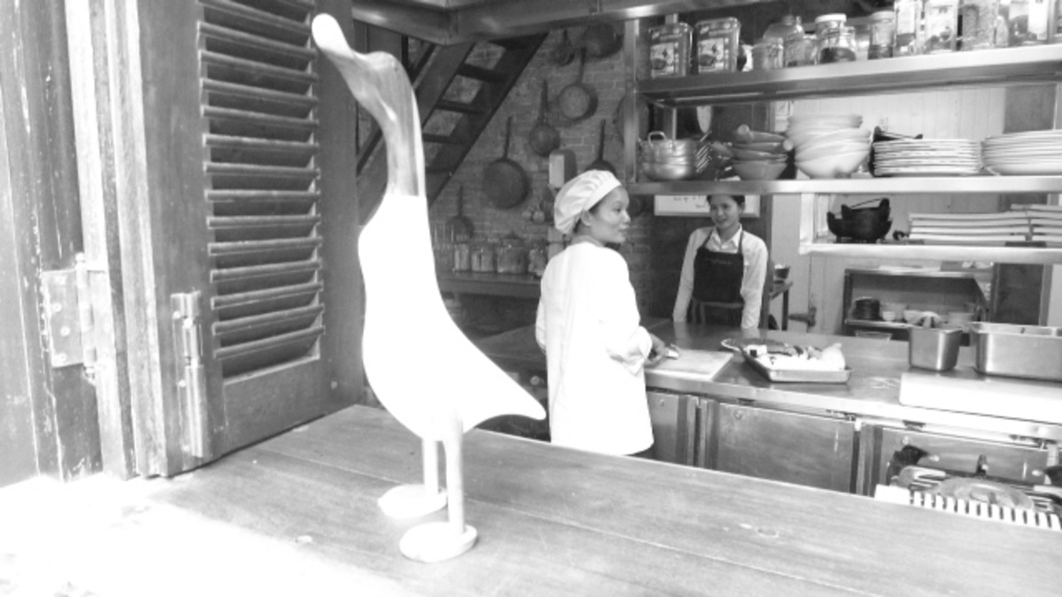 bird chef.jpg