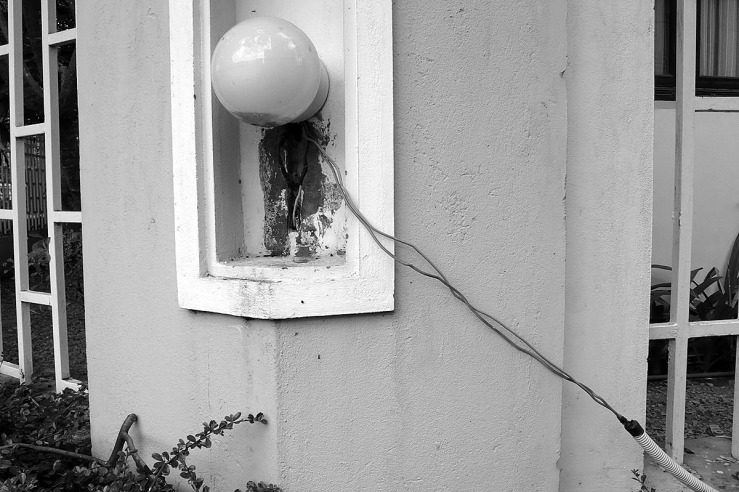 bulb and wire.jpg