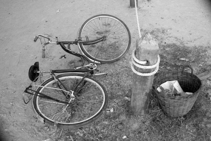 bw bike trash.jpg