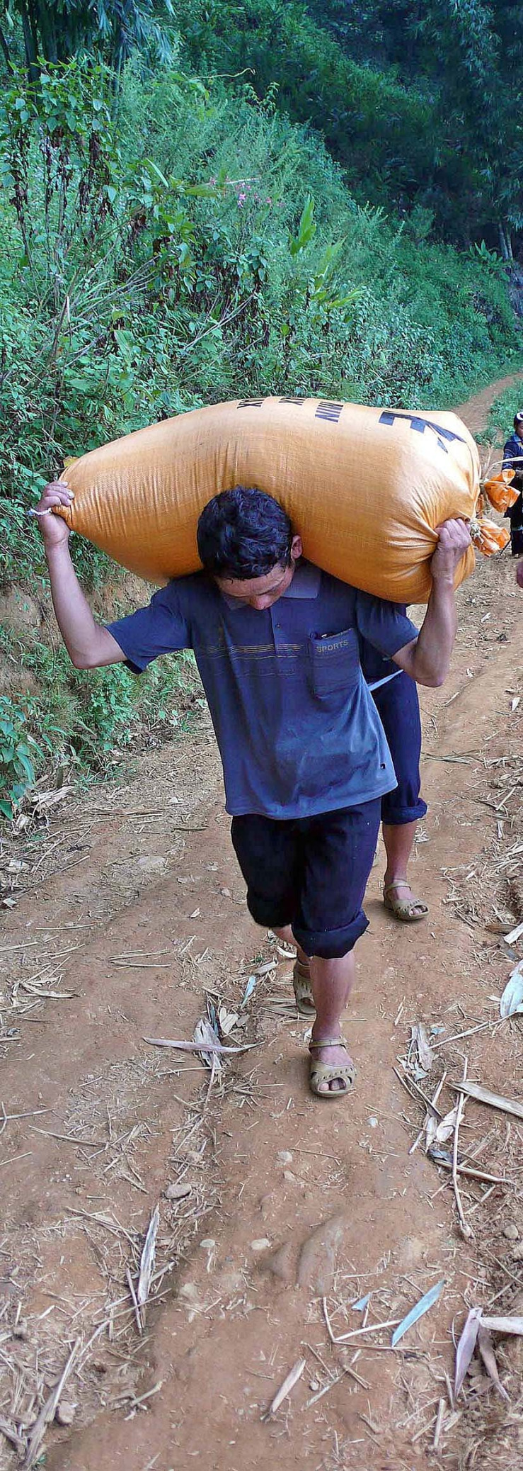 carrying rice bags uphill.jpg
