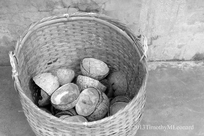 coconuts basket.jpg