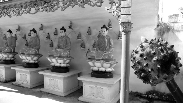 iron ball rows of buddhas.jpg