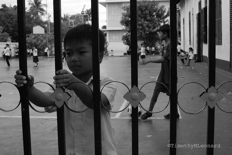 kid fence2.jpg