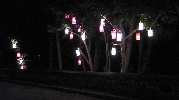 lanterns night.jpg