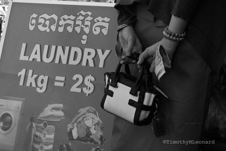 laundry purse.jpg