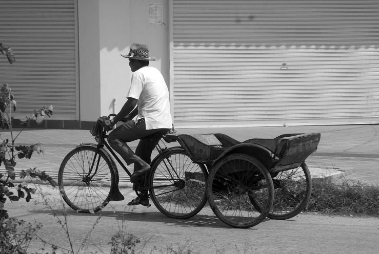man pedal cart.jpg