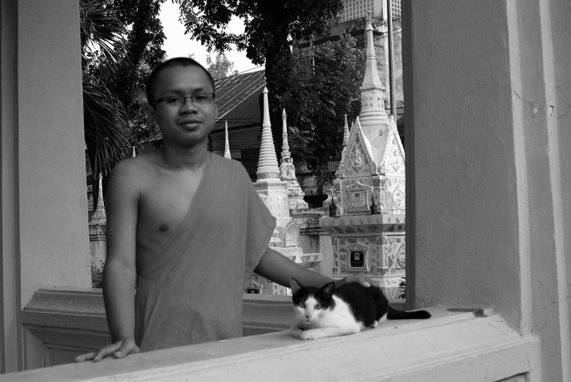 monk cat.jpg
