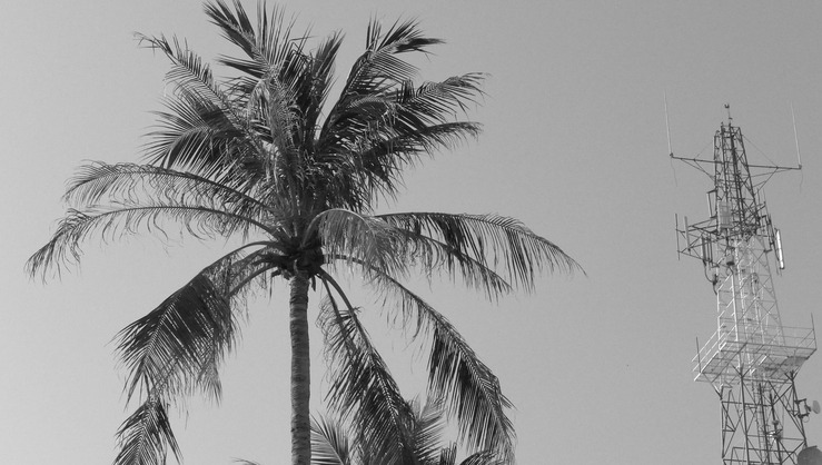 palm tower.jpg