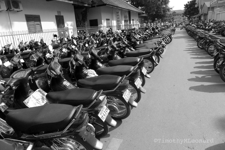rows of motorcycles.jpg