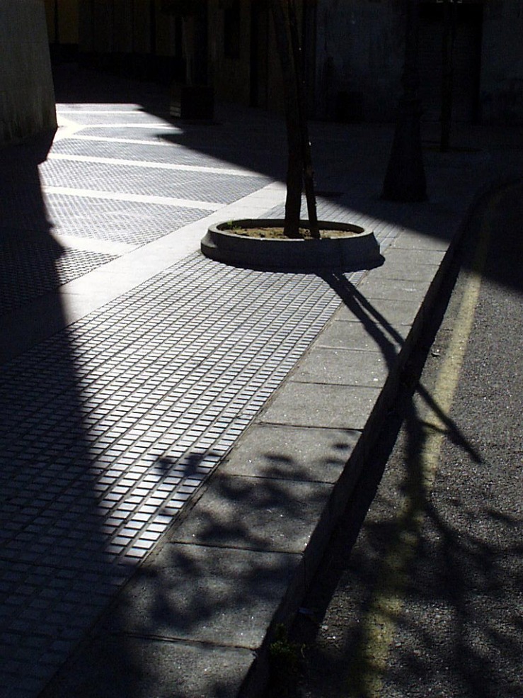 shadows street.jpg