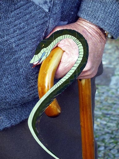 snake hand cane.jpg