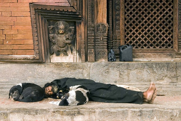 temple man sleeps with dogs.jpg