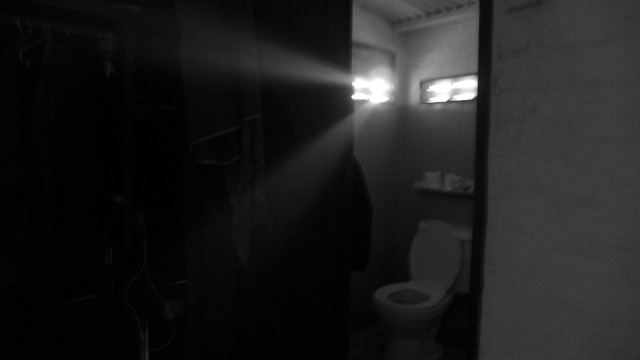 toilet light.jpg