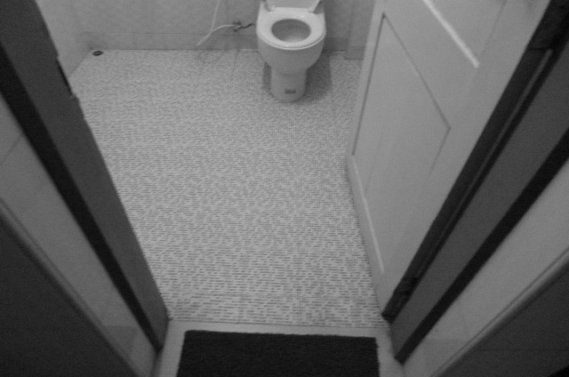 toilet.jpg