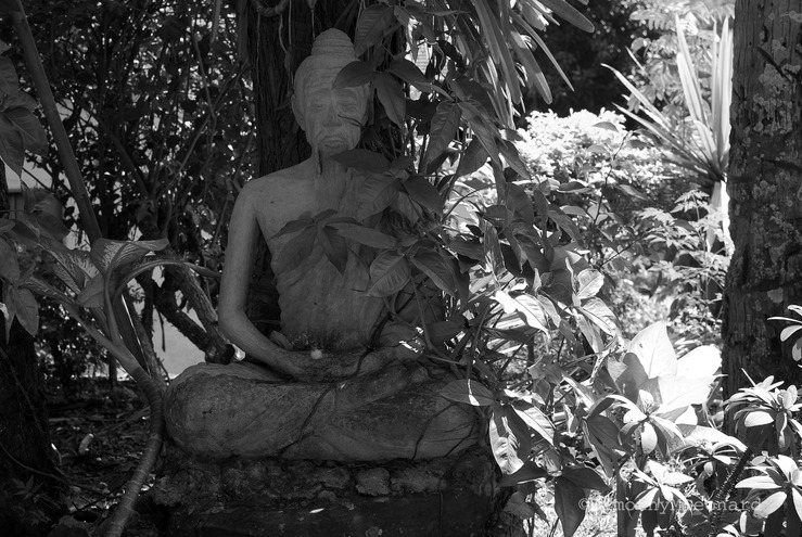 zen statue.jpg